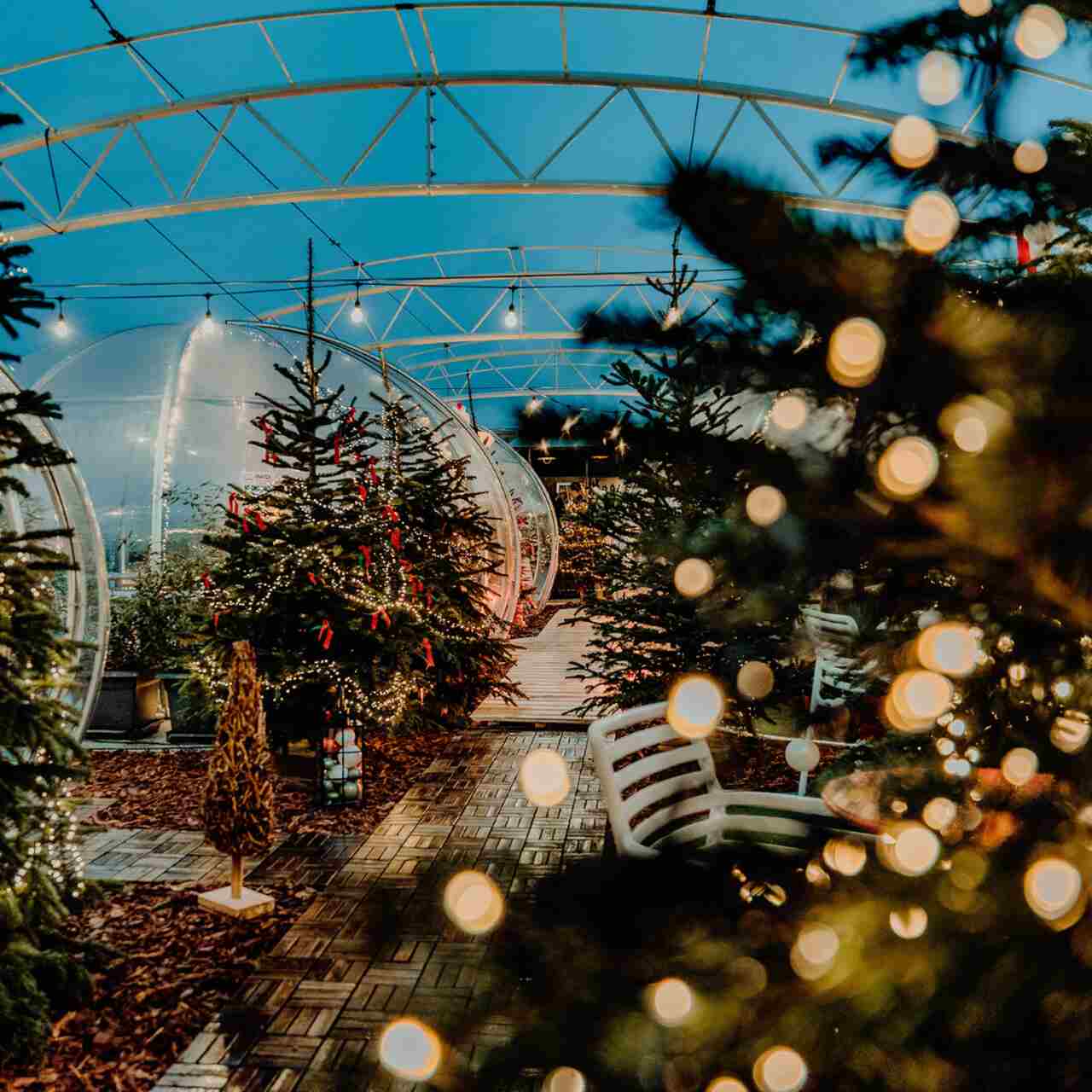 Heated outdoor igloos set on a rooftop terrace in Budapest, decorated with lights and greenery, representing a cozy winter dining experience for Valentine’s Day.